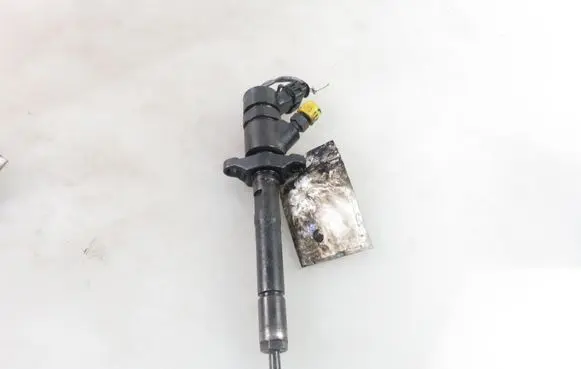 Citroen C4 I Fuel injector 0445110239