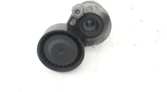 Renault Clio II Timing belt tensioner 6563041