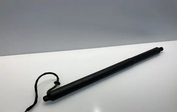 Tailgate/trunk strut/damper
