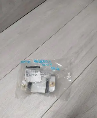 Renault Koleos II Front door lower hinge 809923413R