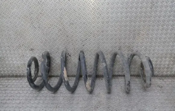 Volkswagen PASSAT B6 Rear coil spring