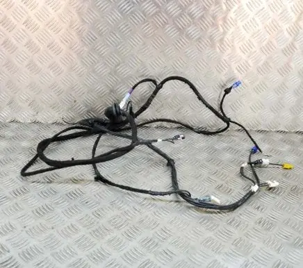 Tesla Model S Other wiring loom 100442900R