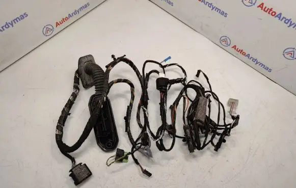 BMW X5 E70 Front door wiring loom 9239542 61129242076