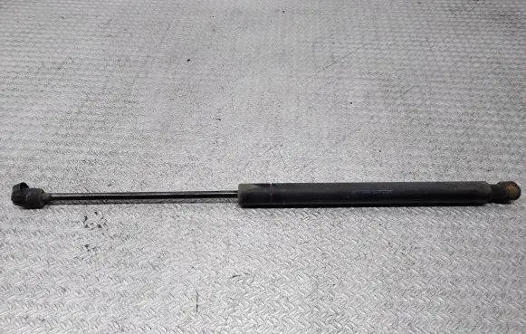 Tailgate/trunk strut/damper