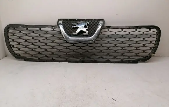 Front bumper upper radiator grill