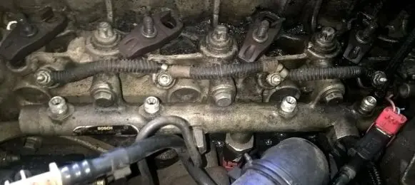 Peugeot 406 Fuel main line pipe 0445214019 13676