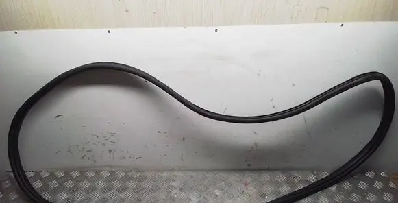 KIA EV6 Front door rubber seal 