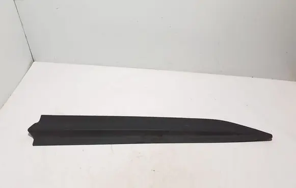 Renault Kangoo III Front door trim (molding) 808207076R
