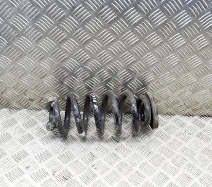 Audi Q4 Sportback e-tron Rear coil spring 1EA11103J