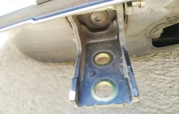 Rear door lower hinge