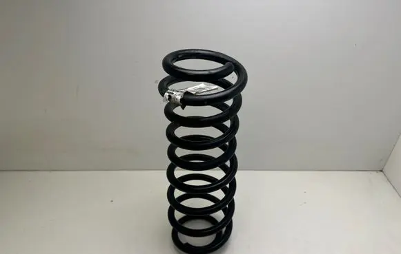 Ford Mustang V Rear coil spring E29EJ