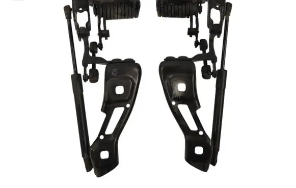 Tailgate/trunk/boot hinge