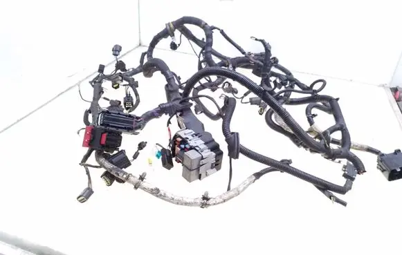 Engine installation wiring loom