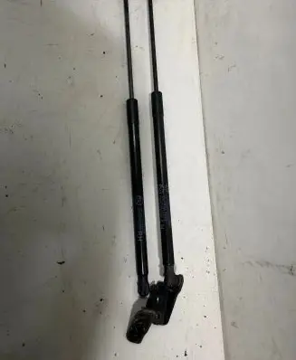 Tailgate strut