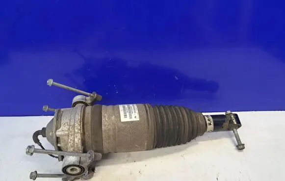 Porsche Cayenne (92A) Rear shock absorber/damper 7P5616503AF