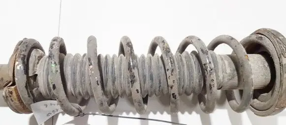 Honda Accord Rear coil spring