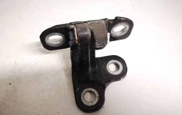 Rear door lower hinge