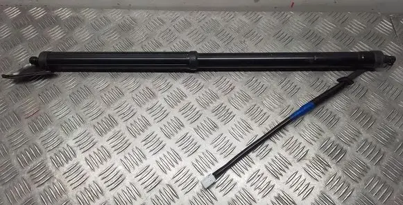 Tailgate/trunk strut/damper