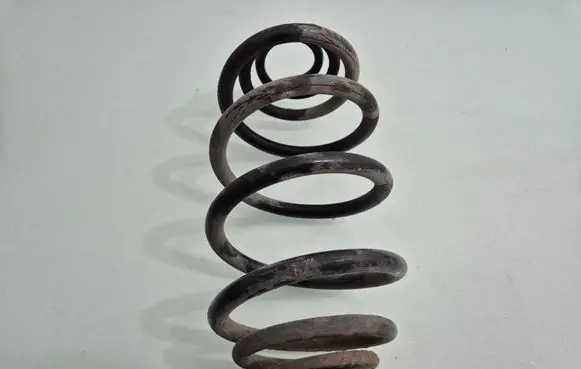 Rear coil spring