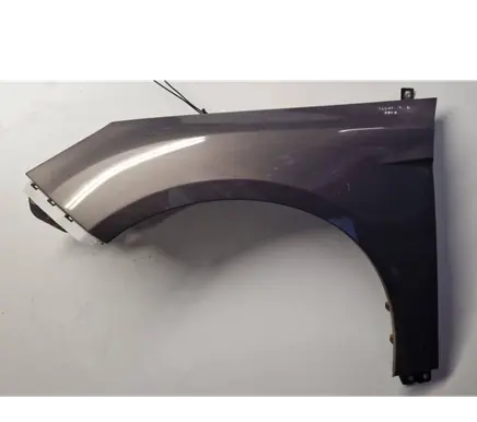Ford Focus Fender