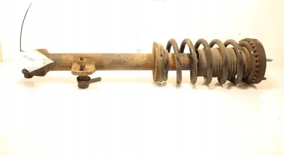 Chrysler 300 - 300C Front shock absorber with coil spring 047827