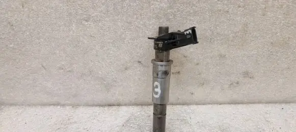 Renault Laguna III Fuel injector 0445115084 141031 954766A
