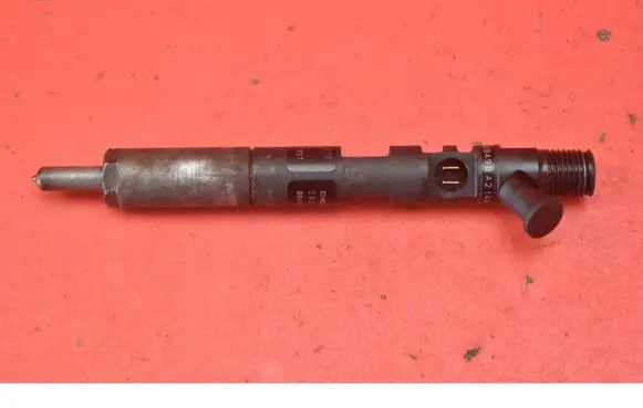 Renault Kangoo II Fuel injector 166001137R