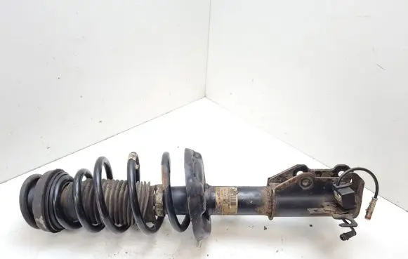 Opel Insignia A Front shock absorber with coil spring 314801718 13319745