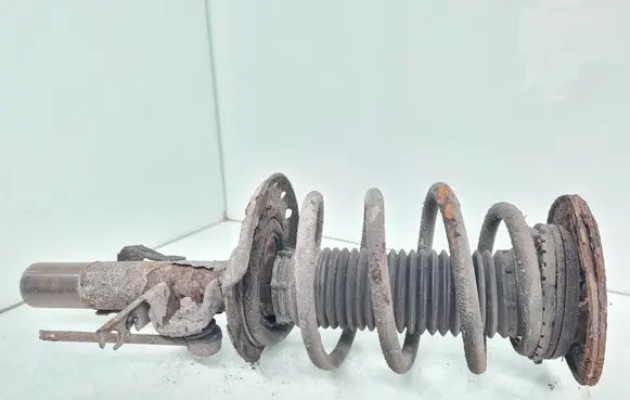 Front shock absorber with coil spring