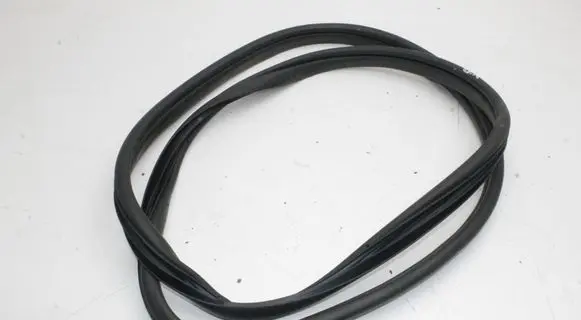 KIA EV6 Rubber seal rear door 