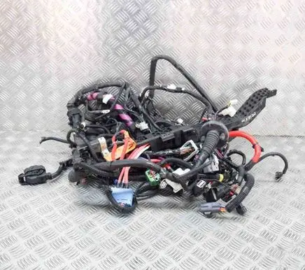 Tesla Model 3 Other wiring loom 256796407B