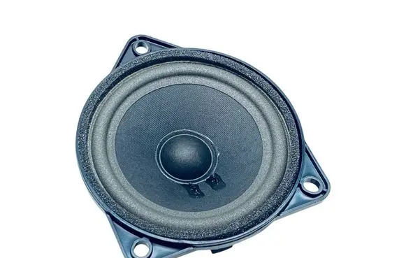 Audi E-tron GT Rear door speaker 971035415E