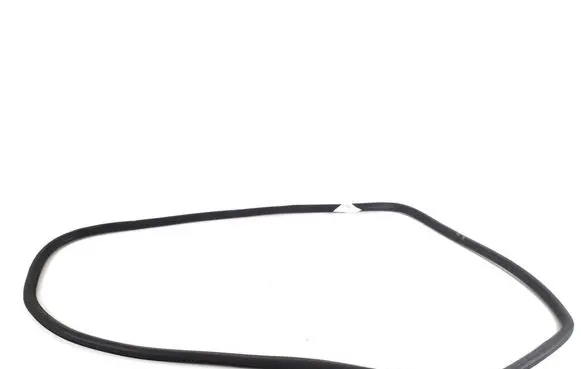 Opel Ampera- E Rear door rubber seal (on body) 42588070