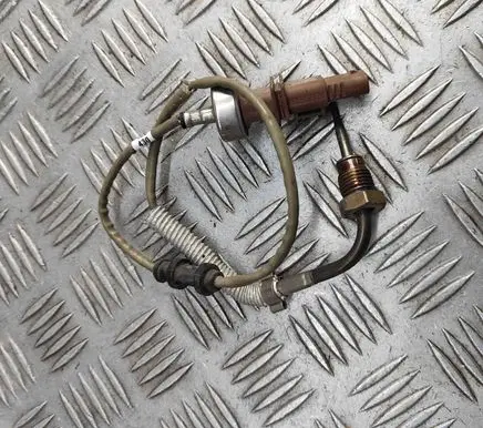 Volkswagen Polo VI Oil temperature sensor 06K919529E