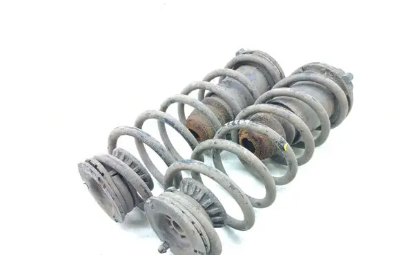 Rear coil spring