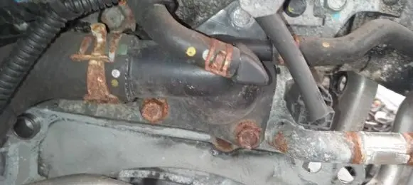 Mazda 2 Engine coolant pipe/hose