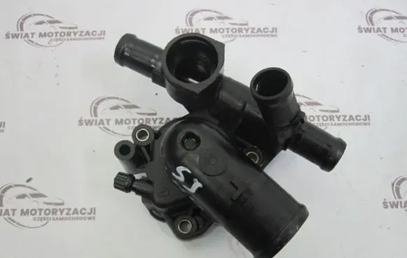 Thermostat/thermostat housing