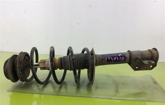 Fiat Punto (188) Front shock absorber with coil spring FT1214