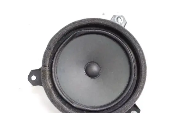 Toyota Hilux (AN120, AN130) Rear door speaker 861600K430