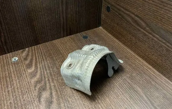 Exhaust heat shield