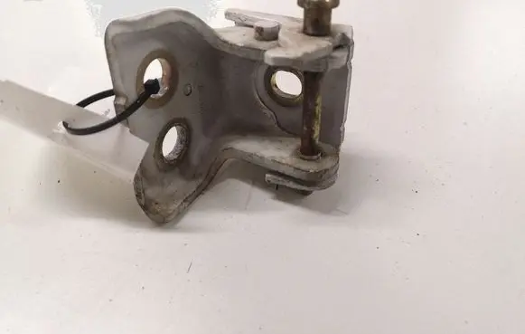 Peugeot 407 Front door lower hinge