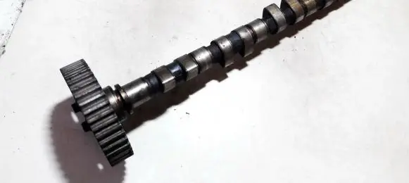 Volvo S40, V40 Camshaft 1001590