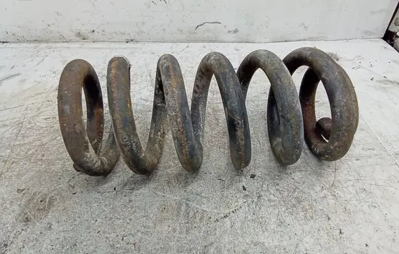 Peugeot Expert Rear coil spring