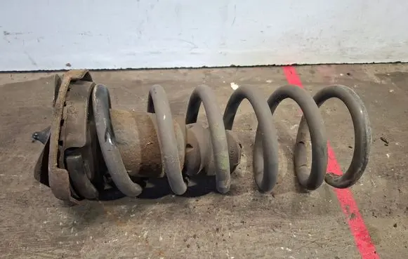 Rear coil spring