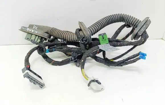 Front door wiring loom