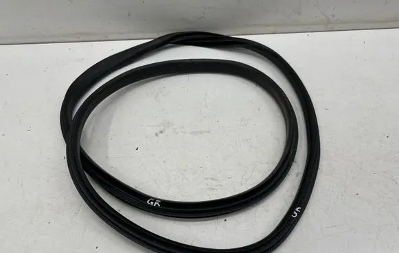 Ford Puma Rear door rubber seal (on body) 