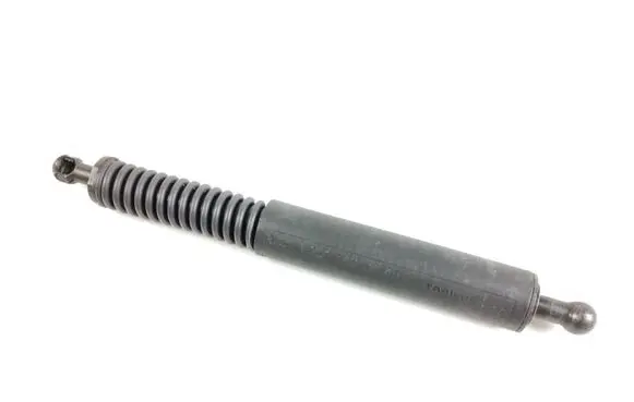 Tailgate/trunk strut/damper