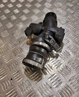 Citroen C4 I Throttle valve 9660030480