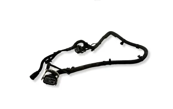 Lexus GS 300 350 430 450H Other wiring loom 