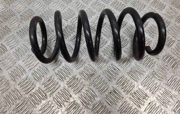Rear coil spring
